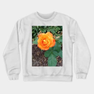 My Favorite Orange Rose Crewneck Sweatshirt